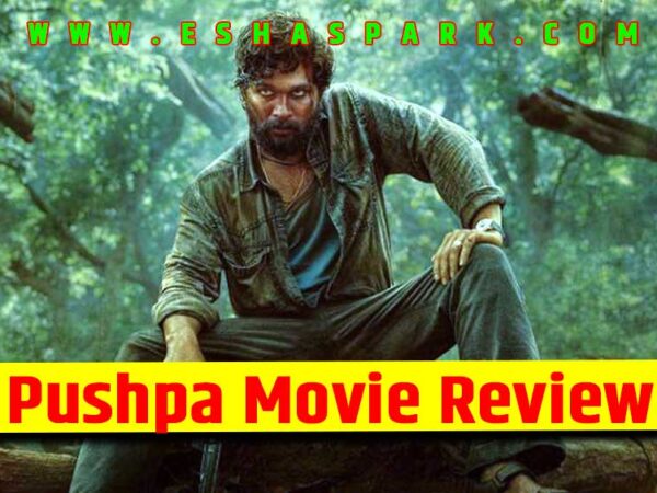 Pushpa Movie Review in English | Pushpa Movie Review