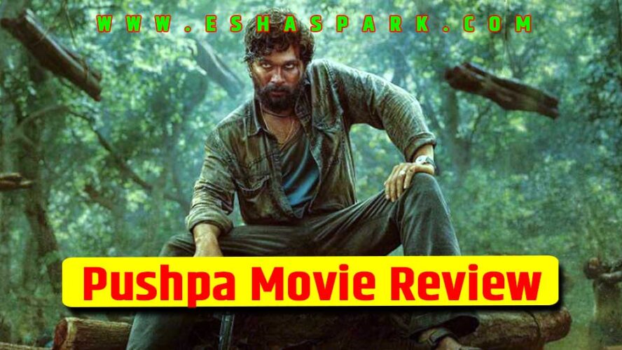Pushpa Movie Review in English | Pushpa Movie Review